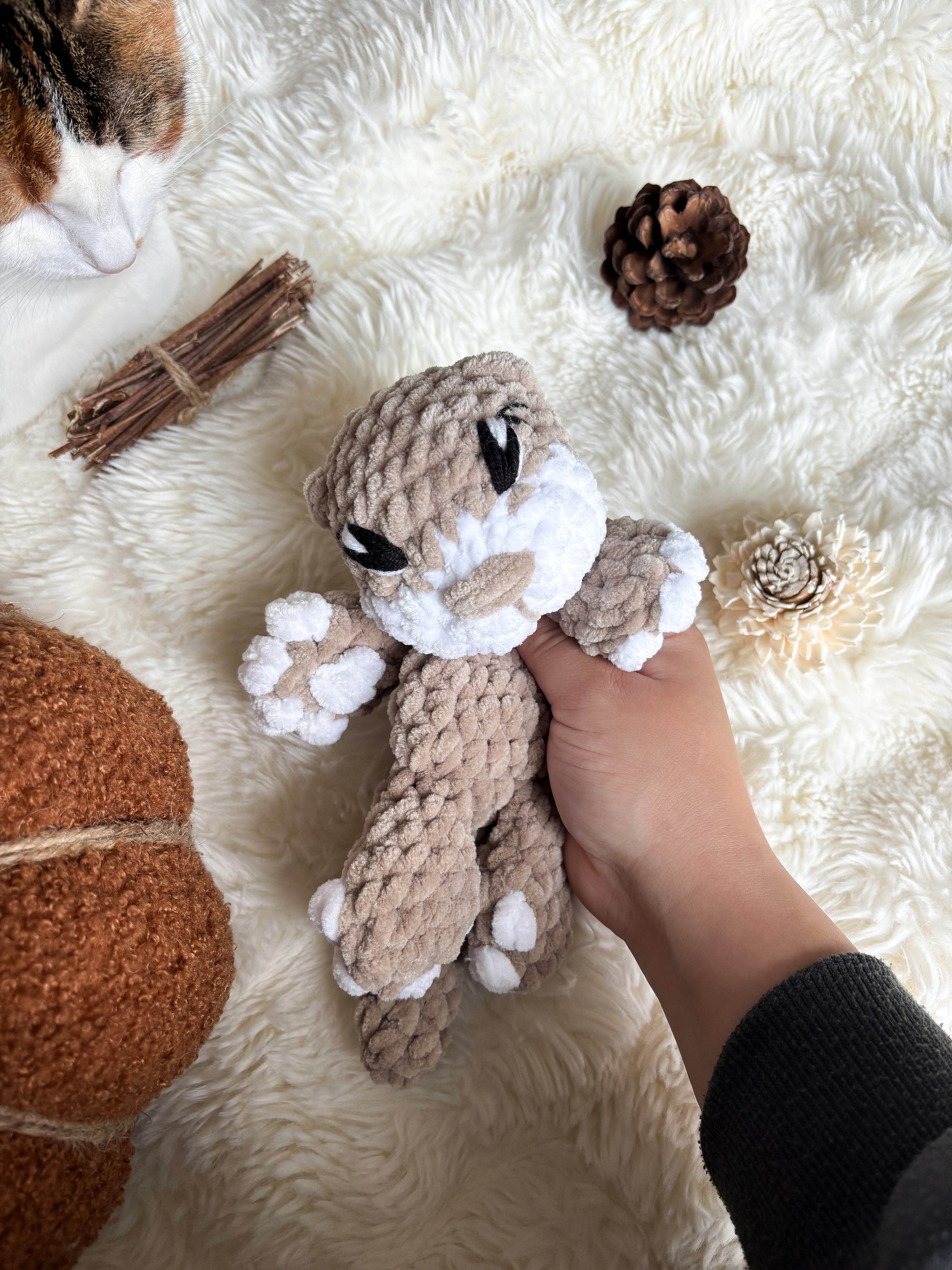 Biscotte le bébé loutre.